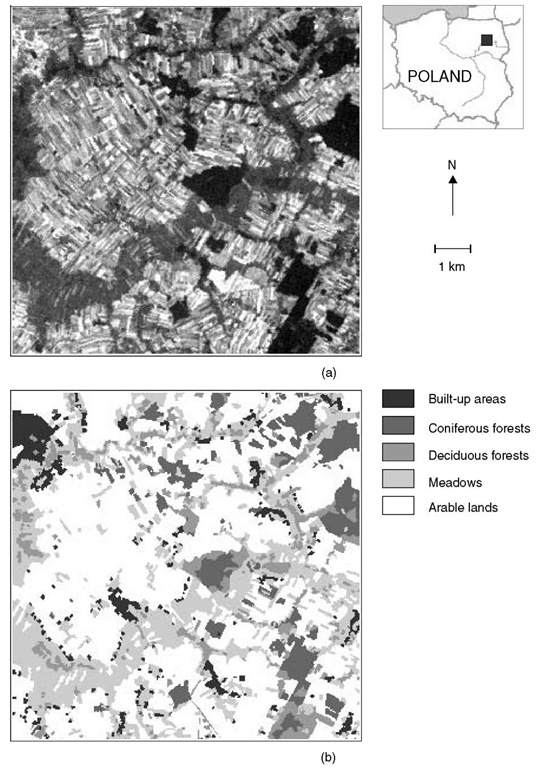 Testsite. (a) Central part of Kolno Upland: red band of LandsatTM. (b) Ground data achieved through visual interpretation of aerial images.