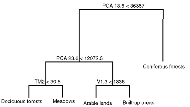  A simplified non-overlapping decision binary tree constructed on textural and spectral bands. Variables used in decision rules: PCA13.6 - sill of a pseudo-cross variogram calculated between the first and the third PC, PCA23.6 - sill of a pseudo-cross variogram calculated between the second and the third PC, TM2 - original green band of TM, V1.3 - mean of semivariances calculated up to a range on blue band (TM1)