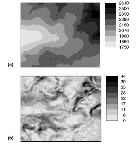 Example data sets. (a) Digital Elevation Model (metres) of a 2 x 2.5 km area in the Vorarlberg region in the Austrian Alps; (b) slope map (per cent) of the same area