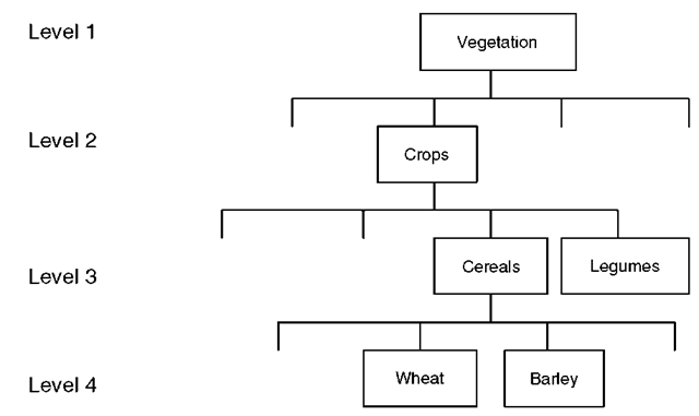 Different levels of generalization in a classification hierarchy. Given a classification scheme at level 4, the separation of a field of barley into barley and bare soil may result in misclassification either (i) because the investigator wishes the whole field to be classified as barley or (ii) because the classification scheme does not permit it (e.g. there is no bare soil class) 