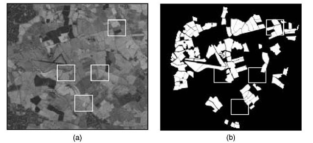The area from which data were collected for the experiments described in this topic. (a) shows the remotely sensed area in band 4. The regions within the white squares are magnified to provide greater detail in later figures. (b) The proportions of sub-pixel area covered by cereal crops represented on a grey scale. White indicates that a pixel was purely cereal, and black indicates that no cereal was present 