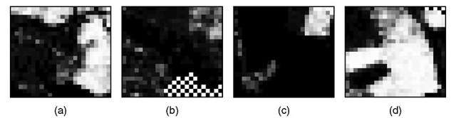 The proportions of sub-pixel areas that were predicted to be covered by cereal crops using a neural network for the four regions highlighted in Figure 4.12. White corresponds to a pixel consisting purely of cereal, whereas black corresponds to a pixel containing no cereal at all. Here, and in later figures, the checkered areas were outside the study area and were not used 
