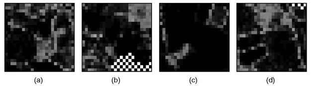 The variances of the distributions estimated by the MDN can also be represented as images and provide a useful indication of how well the distributions are summarized by their means. Lighter pixels are associated with distributions that have large variances, and hence provide little information about sub-pixel composition. It is interesting to note that these occur mainly for mixed pixels along field boundaries where the PSF is expected to have a significant impact 