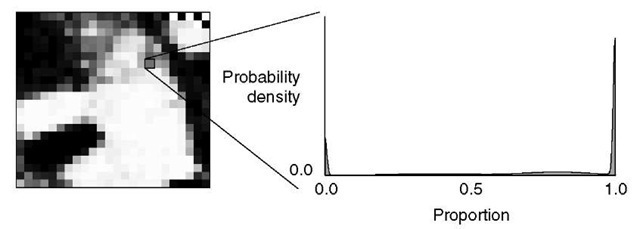 If estimates of the proportions of the sub-pixel areas covered by different classes are represented as probability distributions, images of the distribution means (such as that shown to the left) provide a useful summary of the information in the distributions. For any pixel in the image, however, the full probability distribution can be extracted (as shown on the right) to reveal the full range of alternative possibilities 