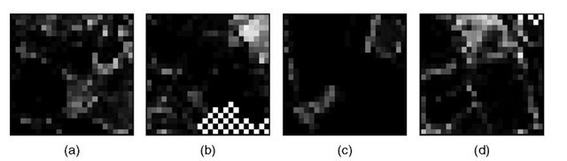 The magnitude of the squared differences between the distribution means and the sub-pixel proportions revealed by a ground survey. The similarity with Figure 4.17 suggests that the distribution variances provide a good indication of the likely accuracy of the distribution means as proportion estimates. Whiter pixels indicate greater difference 