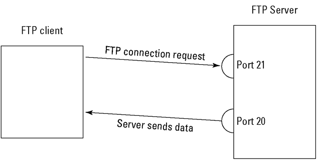FTP needs to know the port number to transfer an FTP request.