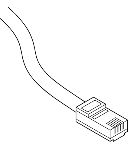 Plug this RJ-45 connector into your router. 
