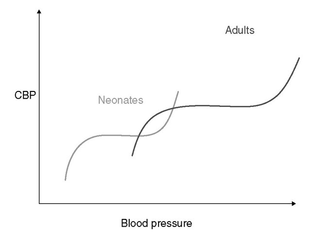  Autoregulation of cerebral blood flow in neonates and adults. The slope of the autoregulatory curve drops and rises significantly at the lower and upper limits of the curve and is shifted to the left in neonates and infants (left curve) when compared with adults (right curve). 