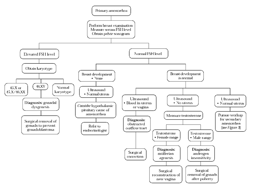 Diagnosis and treatment of primary amenorrhea. (FSH—follicle-stimulating hormone)