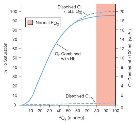 The oxygen-hemoglobin dissociation curve. In the lower portion of the curve, it takes a small increase in partial pressure of oxygen to produce a large increase in oxygen saturation. 