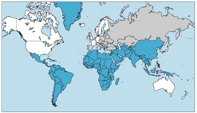 The prevalence of hepatitis A is high in those countries shaded blue, intermediate in those shaded gray, and low in the white areas of the map.