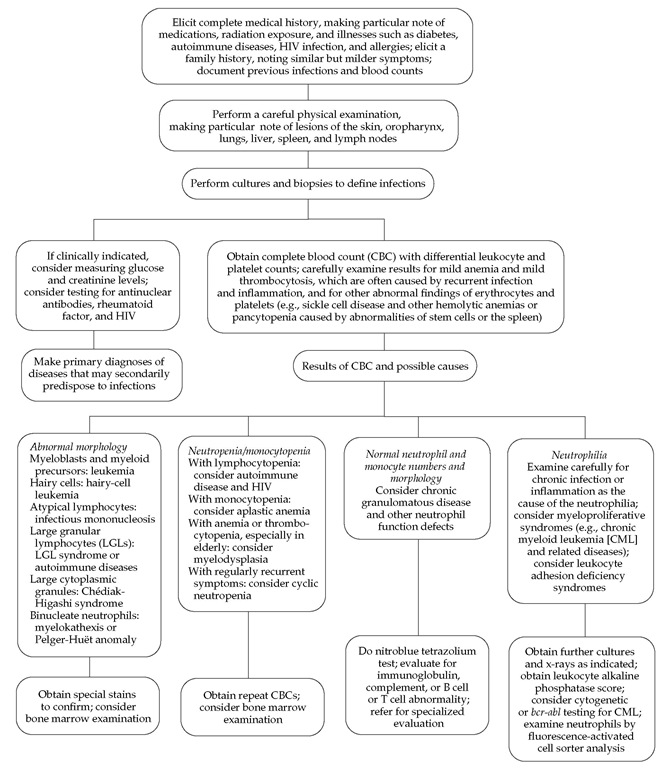 Steps in the evaluation of a patient with recurrent infections for a phagocytic cell disorder.