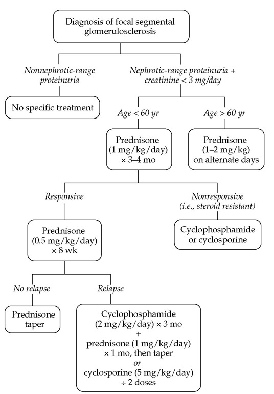 Treatment algorithm for patients with focal segmental glomerulosclerosis.