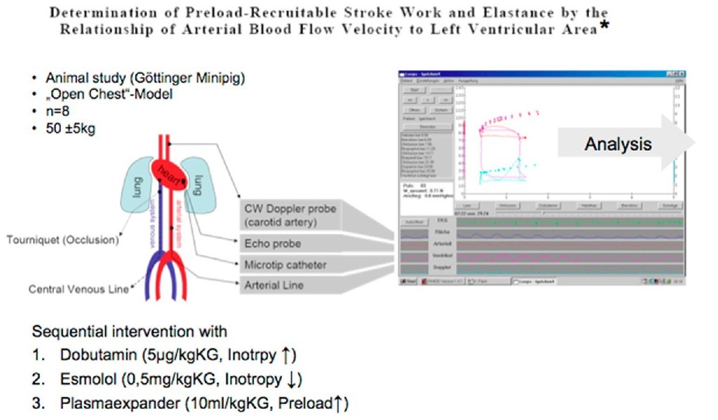 Diagram for the experiment set-up of the study "Determination of Preload Recruitable Stroke Work and Elastance by the Relation of Arterial Blood Flow Velocity to Left Ventricular Area". 