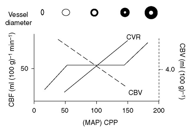 Cerebrovascular resistance (CVR) changes in response to changes in the cerebral perfusion pressure (CPP) to maintain the cerebral blood flow (CBF). Cerebral vasodilation, and thus a decrease in CVR, maintains CBF with reductions in the CPP. This increases cerebral blood volume (CBV), which results in critical increases in intracranial pressure in patients with poor compliance (steep part of pressure-volume curve). MAP, mean arterial pressure. 