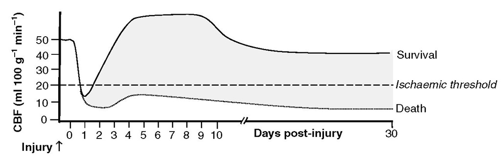 Spectrum of cerebral blood flow (CBF) patterns following severe head injury. Following an initial period of ischaemia lasting <24 h, CBF begins to rise and may exceed normal values on days 2-4; CBF may fall to subnormal levels at later time points, chiefly due to the presence of vasospasm secondary to traumatic subarachnoid haemorrhage. The CBF levels may never rise in some patients, especially those who have a poor outcome. 