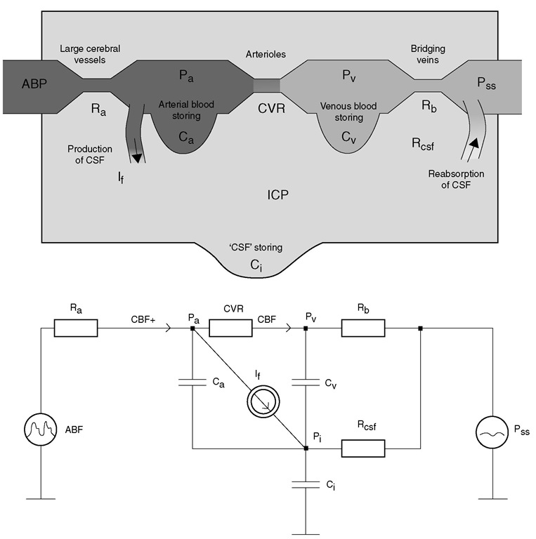 A lumped hydrodynamic model of cerebral blood flow (CBF) and cerebrospinal fluid (CSF) circulation (upper) and its electrical equivalent (lower). Arterial blood flow is into the intracerebral space through a linear low resistance, Ra. The volume of arterial blood is stored in arterial compliance, Ca. The main cerebral resistive vessels (CVR) are where autoregulation acts. The blood then flows to the venous part of the cerebral circulation and is stored in a venous and capillary pool (Cv). Rb represents the squeezable venous structures (cortical and bridging veins). The CSF is formed from arterial blood, and flows around all structures and is absorbed (through resistance Rcsf) back to the blood in the sagittal sinus (Pss). The compliance of the CSF space (C J is associated with the ability of the lumbar dural sac to expand in the lumbar canal through compression of the venous plexi. From the aspect of addition of CSF (point P , on the electrical diagram), all three compliances -arterial, venous and CSF - are connected in parallel; therefore, net intracerebral compliance can be approximated as Ca + Cv. + C , Pa,cerebral arterial blood pressure in small arteries; Pv, venous blood pressure; ICP, intracranial pressure; ABP, arterial blood pressure; If, CSF inflow. 