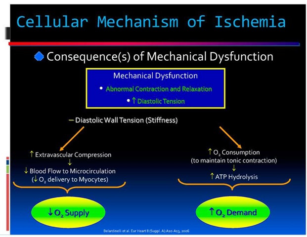 Cellular Mechanism of Ischemia