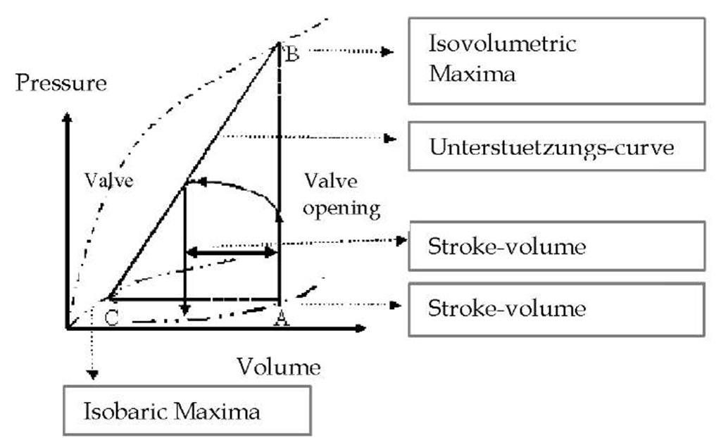 LV pressure-volume diagram by Otto Frank. 