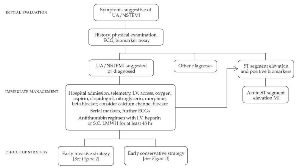 Diagnostic and management steps in patients with unstable angina or non-ST segment elevation myocardial infarction (UA/NSTEMI). (LMWH—low-molecular-weight heparin; MI— myocardial infarction) 