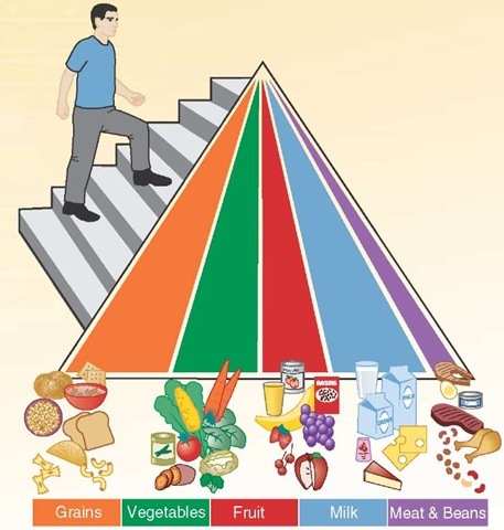 United States Department of Agriculture's Food Pyramid with a new emphasis on exercise.