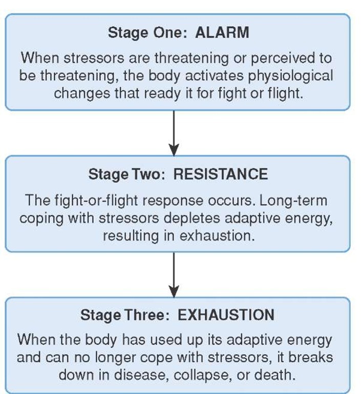 resistance phase of general adaptation syndrome