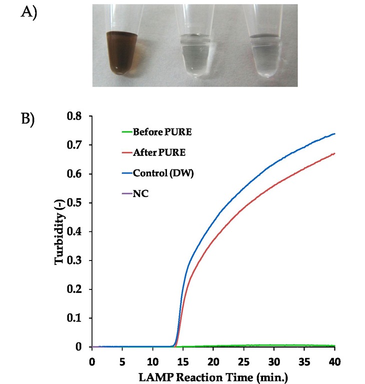 Performance of the PURE-LAMP system applied for blood processing 