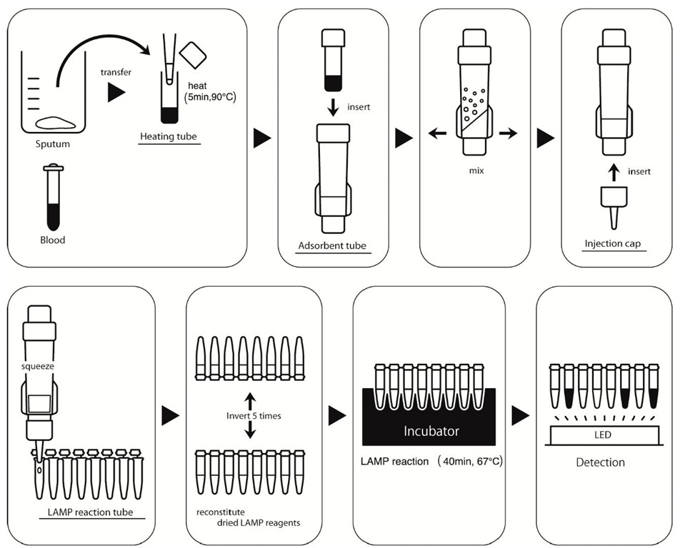 Diagram of the procedures involved in the PURE-LAMP system 