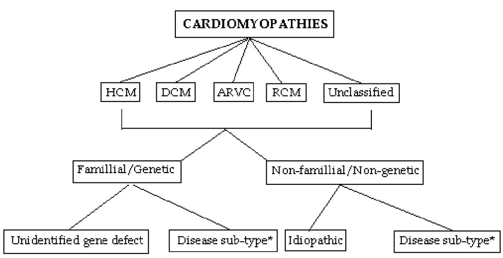 Summery of proposed classification. HCM, hypertrophic cardiomyopathy; DCM, dilated cardiomyopathy; ARVC, arrhythmogenic right ventricular cardiomyopathy; RCM, restrictive cardiomyopathy (*see table 2).