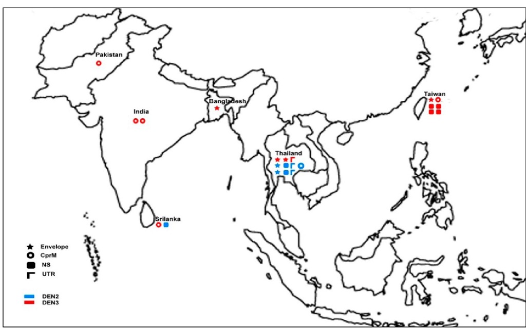 The Geographical distribution of mutations in DEN-2 and DEN-3 viruses detected at different genomic loci of isolates from South East Asia 