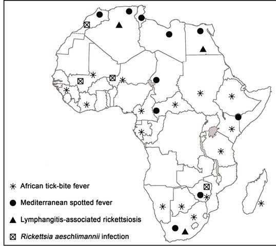 Map showing distribution of human cases of tick-borne rickettsioses in Africa. 