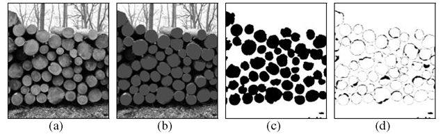 The evaluation stages used in figure 9; (a) input image, (b) ground truth image with marked foreground, (c) image with analysis results, (d) difference image ground truth vs. analyzed image