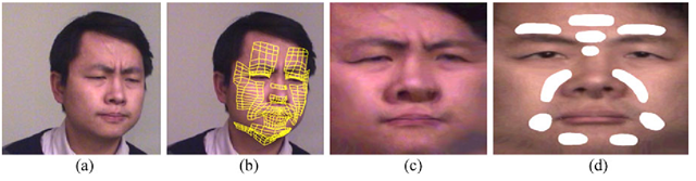 Example of feature extraction [102]. a Input video frame. b Snapshot of the geometric tracking system. c Extracted texture map. d Selected facial regions for appearance feature extraction [102]