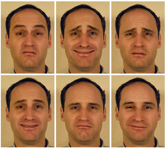 Expressions generated by the expression editing system