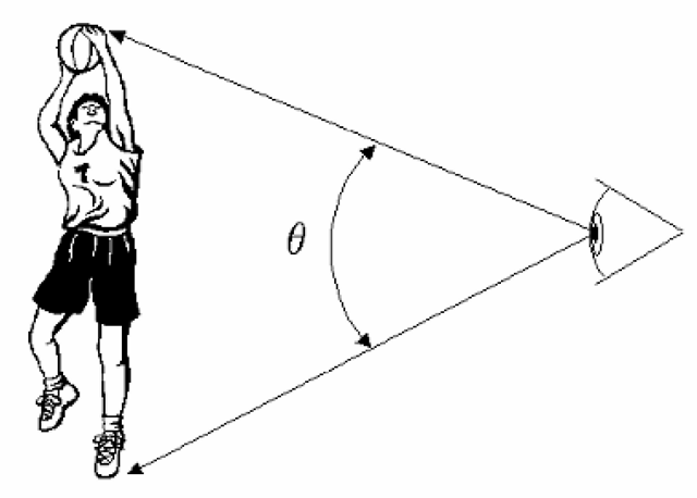 The portion of the visual field occupied by a given image may be expressed in terms of visual angle, or in visual degrees, which is simply a measure of the angle subtended by the image from the viewer’s perspective. 