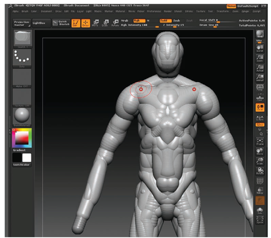 The torso built up with more strokes. Notice that the head and the trapezius muscles are now suggested.