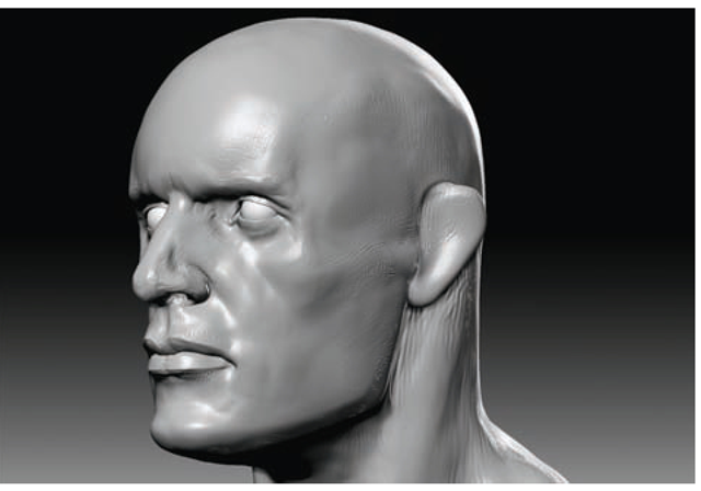 Adding a placeholder ear to help gauge the facial proportions 