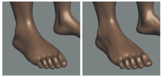 Details on the Foot and the Toenails Are Sculpted the Same Way as with the Hands. 