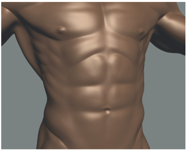 Suggest the Nipples with the Bulge Tool and Push In the Umbilicus with an Inverted Bulge Tool and Use the Wax Tool to Add Details. 