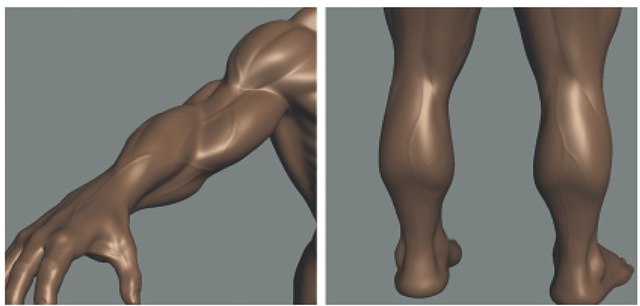 Surface Veins Add a Touch of Realism to the Sculpture. Use the Bulge Tool to Sculpt the Veins on the Arms and Legs. 