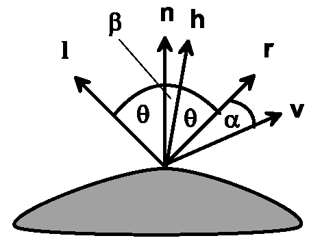 The halfway vector h in Phong’s model 