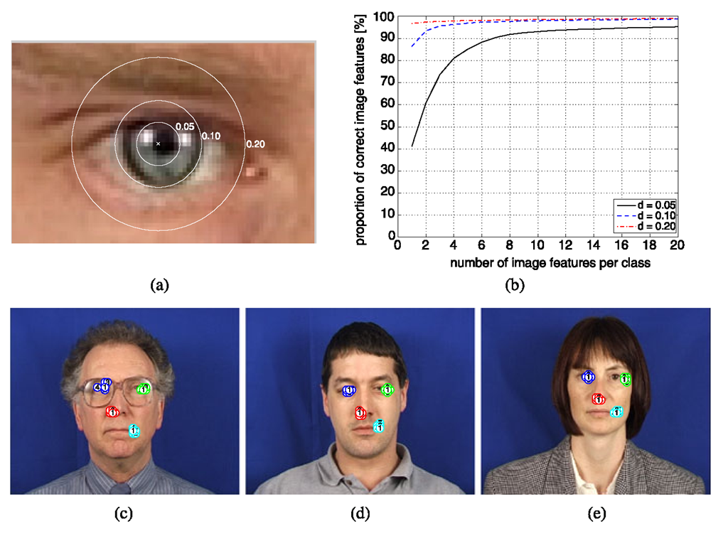 a Demonstration of accuracy distance measure; b Performance for facial feature detection in XM2VTS test images; c, d, e Examples of extracted features (left eye center: blue, right eye outer corner: green, left nostril: red, right mouth corner: cyan, 5 best feature for each landmark numbered from 1 to 5) [37] 