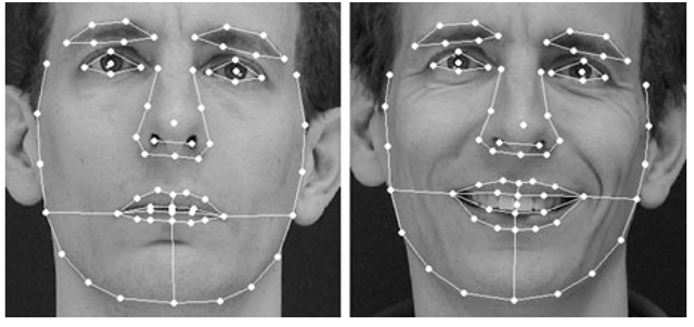 Examples of 68 points defining facial features on two frontal images