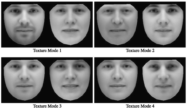 Four modes of a face texture model built from 400 images (including neutral, smiling, frowning and surprised expressions) of 100 different individuals with around 20000 pixels per example. Texture parameters have been varied by ±2 standard deviations from the mean