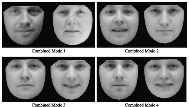 Four modes of combined shape and texture model built from the same 400 face images as the texture-only model (Fig. 5.4). Combined parameters were varied by ±2 standard deviations from the mean