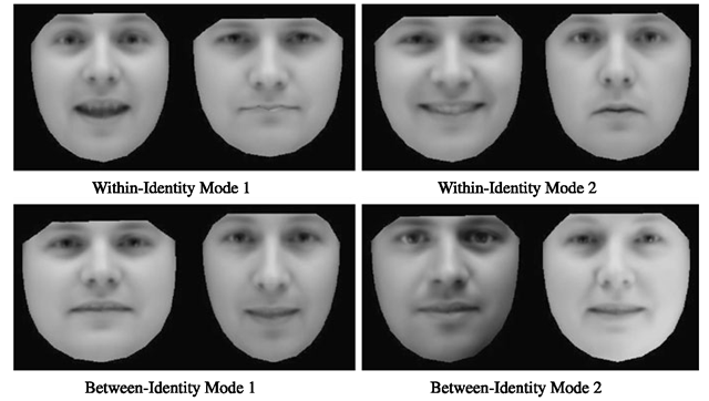  (Top) Two within-identity modes of individual face variation; (bottom) two between-identity modes of variation between individuals. Some residual variation in expression is present due to not every mean face being completely neutral