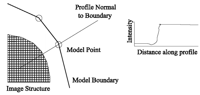  At each model point, we sample along a profile normal to the boundary