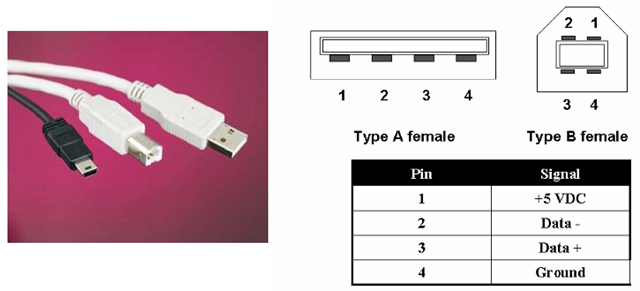 USB connectors and pinouts. As shown in the photograph, USB connectors come in several styles and sizes; this picture shows the “A” and “B” type standard-sized connectors (in white), plus an example of a mini-USB connector. The “A” connector, the flatter of the two, is typically the “upstream” connection - the output of a hub or controller, for example. The more squared-off “B” type connector is the “downstream” connection, used at the input to USB devices.