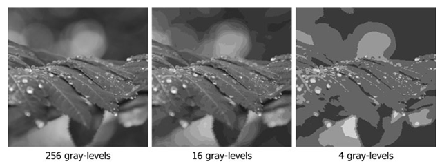 The effect of gray-level resolution. The gray-level resolution is from left to right: 256, 16, and 4 gray levels 