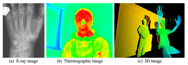  Three different types of image. (a) X-ray image. Note the ring on the finger. (b) Thermographic image. The more reddish the higher the temperature. (c) 3D image. The more blueish the closer to the camera 